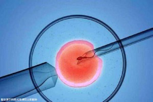 冰原生殖医学中心